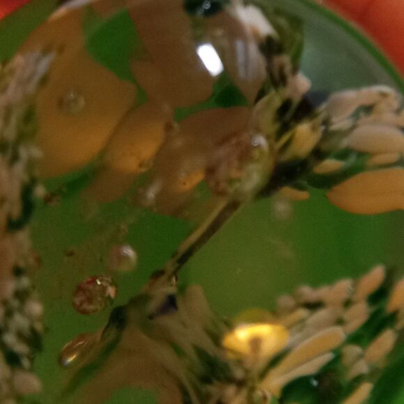 Vintage Paperweight Art Glass Green/White Flowers w/ Bubbles Cottagecore - Picture 8 of 12